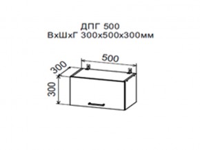 Шкаф верхний ДПГ500 горизонтальный в Серове - serov.магазин96.com | фото