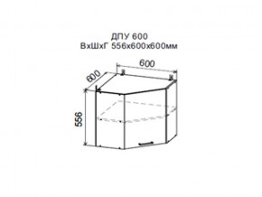 Шкаф верхний ДПУ600 угловой в Серове - serov.магазин96.com | фото